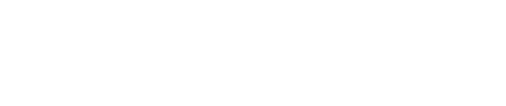 ROAV Custom Built Vans